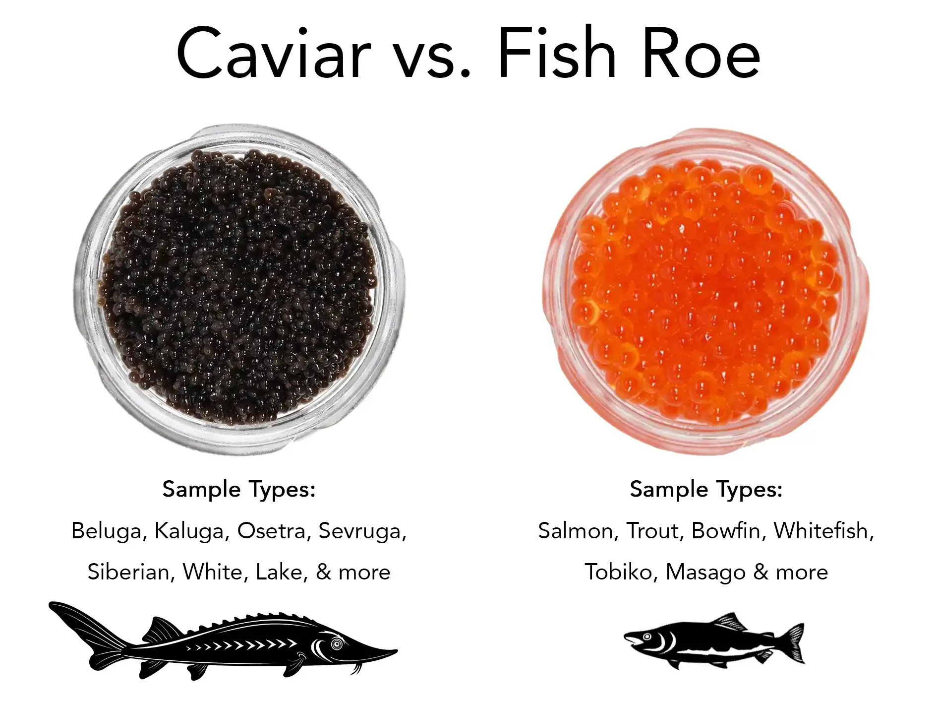 Roe vs. Caviar – What’s the Difference?
